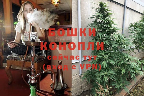 амф Майский
