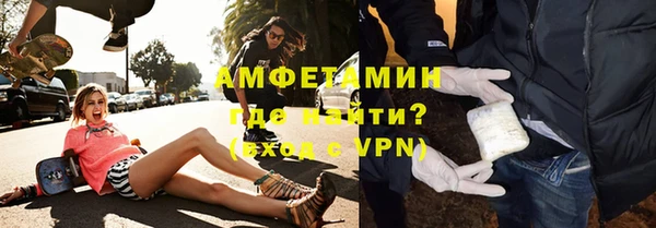 гидра Богородицк