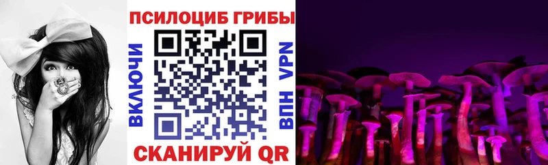 гидра ССЫЛКА  наркотики  Тайшет  Галлюциногенные грибы Cubensis 