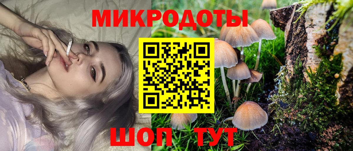 Псилоцибиновые грибы Cubensis Тайшет