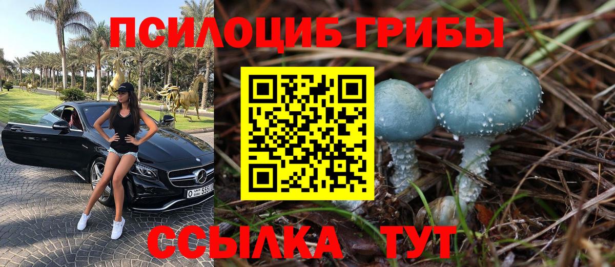 Галлюциногенные грибы мицелий  где купить наркотик  Тайшет  Вход с VPN 